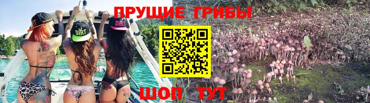 Чита  Галлюциногенные грибы мухоморы  Вход с VPN 